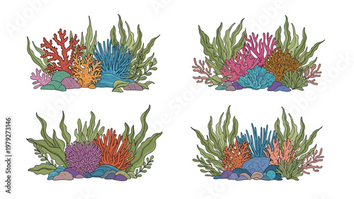 Four diverse arrangements of colorful underwater coral reef plants and seaweed species on a white background.