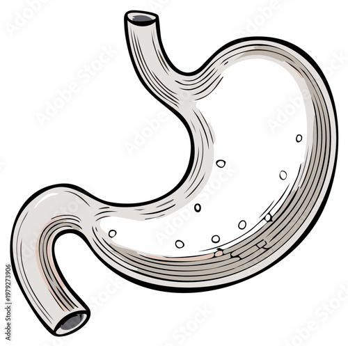 Watercolor style stomach illustration showing bubbles and erosion with digestive system anatomy