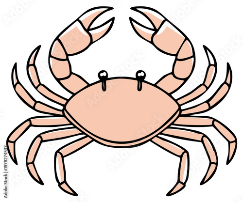 Illustration of a Pink Crab with Claws Raised and Multiple Legs