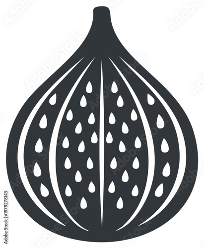Stylized Dark Gray Fig Silhouette with Visible Seeds