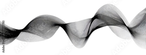 Abstract black and white wavy form with delicate lines
