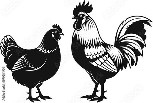Vector black rooster and hen silhouettes isolated on white background, farm poultry birds illustration for agriculture, livestock logo, butcher shop and organic