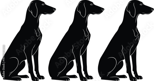 Set of three black silhouette dogs sitting, hunting hound vector illustration, loyal pet collection, animal character icons, isolated on white background, graphic