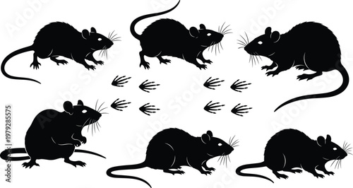 Set of black silhouette rats, cute rodents collection, cartoon animal illustration, pest control design, mouse character icons, isolated on white background, vector graphic