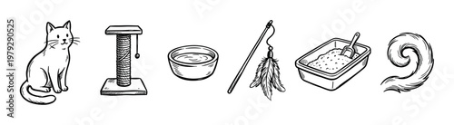 Various essential cat care items and accessories are depicted in a charming hand-drawn doodle style, illustrating common pet needs and playful elements.