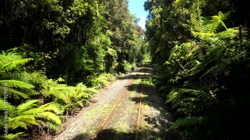 Train Ride Through Sunlit Forest Railway