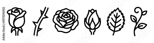 Various rose elements depicted as simple black outline icons, including a bud, bloom, thorny stem, and leaves, illustrating the plant's different stages and features.