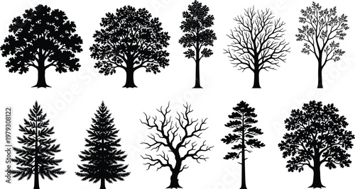 Large Set of Tree Silhouettes, Diverse Collection of Oak Pine Spruce and Bare Winter Trees, Vector Black Isolated Deciduous and Coniferous Plants,