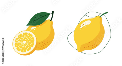 Fresh Yellow Lemon and Citrus Slice Illustration with Leaf and Outline