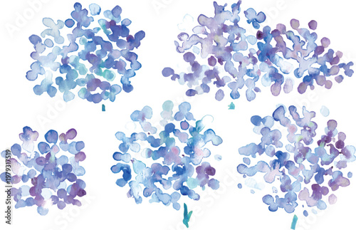 水彩画。水彩タッチの紫陽花イラスト。紫陽花の梅雨イラスト。ベクターアート。
Watercolor painting. Watercolor-style illustration of hydrangeas. Illustration of hydrangeas during the rainy season. Vector art.
