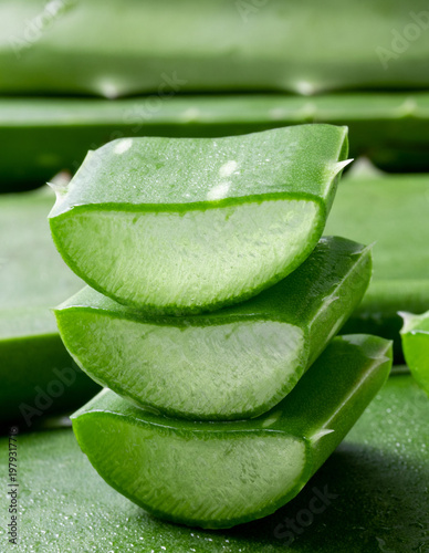 Fresh and verdant slices of Aloe vera