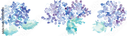 水彩画。水彩タッチの紫陽花イラスト。紫陽花の梅雨イラスト。ベクターアート。
Watercolor painting. Watercolor-style illustration of hydrangeas. Illustration of hydrangeas during the rainy season. Vector art.
