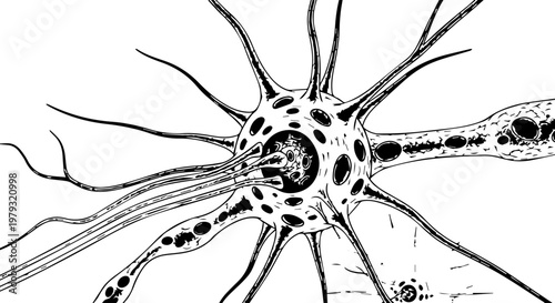 Detailed Illustration of a Neuron with Axons and Dendrites in a Conceptual Science Diagram.