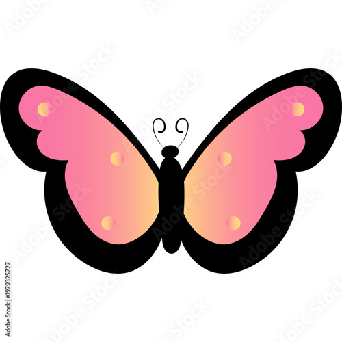 Butterfly Illustration