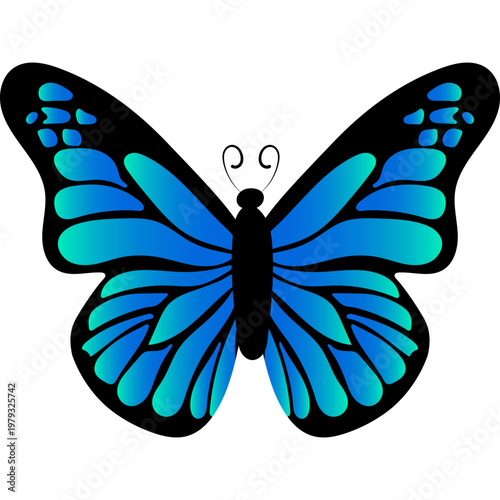 Butterfly Illustration