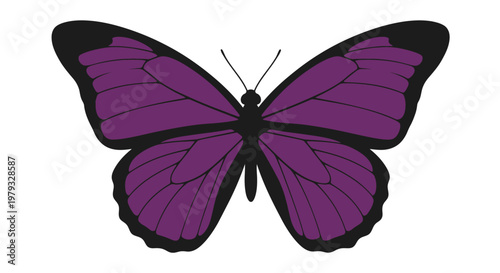 Vibrant and elegant illustration of a purple butterfly with distinctive black accents