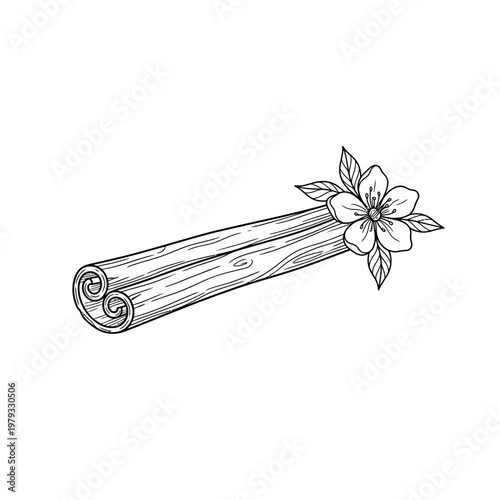 Vector illustration of cinnamon stick with a flower on white background