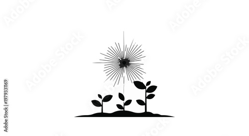 Young plants reaching towards a bright, radiating light source