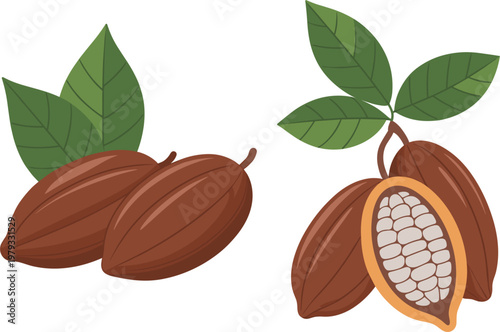 Cocoa pod and bean collection set, chocolate raw material icons with leaves for organic food and dessert design vector illustration