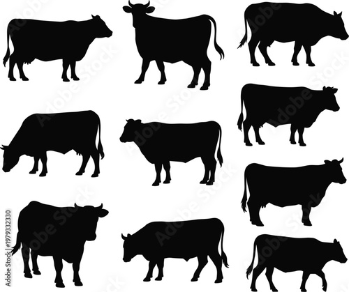 Cow silhouette collection set, diverse farm cattle and bull black icons for agriculture and butchery shop design vector