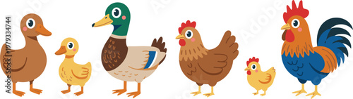 Cute farm bird collection set, cartoon chicken and duck characters for children book or nursery decoration vector