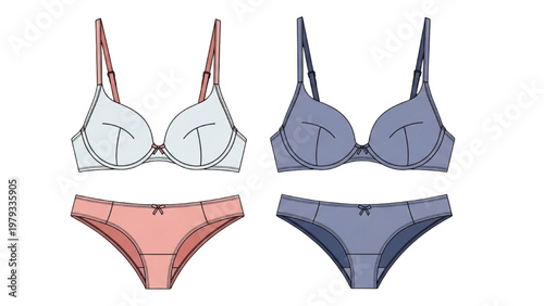 Vector CAD lingerie set with elegant bras and matching underwear
