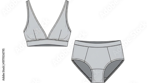 Vector CAD illustration of women's gray lingerie set on white