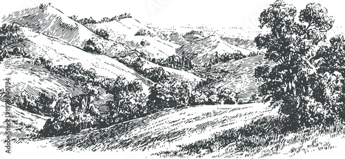 countryside landscape with rolling hills and trees vintage rural nature sketch with distant mountains and vegetation