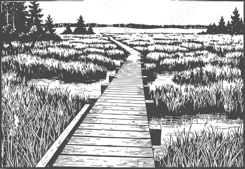 Wooden boardwalk winding through marshland with tall grasses and distant trees
