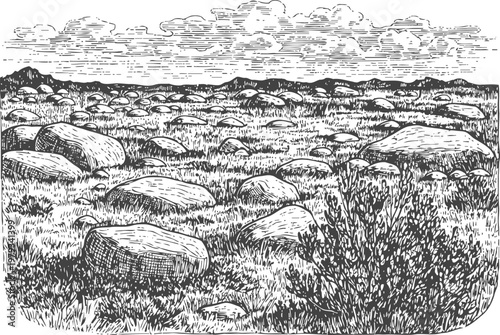 Rocky landscape with scattered large boulders and shrubbery under cloudy sky engraving