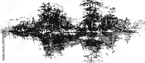 Black and white ink sketch of a forested lakeside with tree reflections in calm water