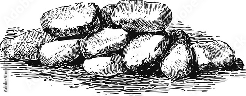 Hand drawn illustration of freshly harvested potatoes pile with detailed texture and shading