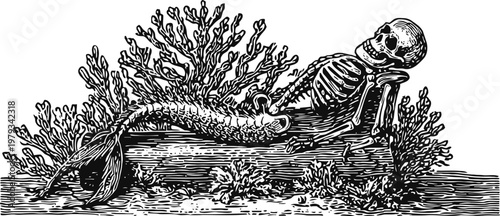 Mermaid skeleton reclining on ocean floor surrounded by coral and sea plants vintage engraving