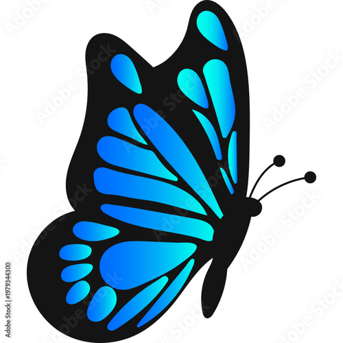 Butterfly Illustration