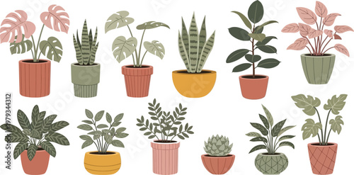 Collection of diverse potted houseplants arranged in a grid layout for interior decoration Vector
