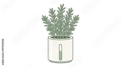 Potted herb plant in white cylindrical pot.
