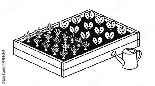 Raised garden bed with young plants and watering can.