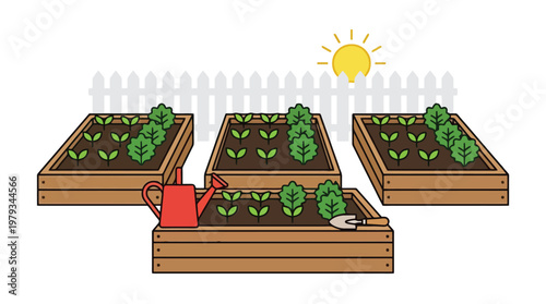 Raised garden beds with young seedlings in vegetable garden.