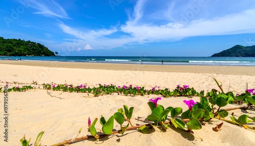Scenic beach scene with lush vegetation in the foreground. Turquoise water meets golden sand under a blue sky. Mountains are in the distance