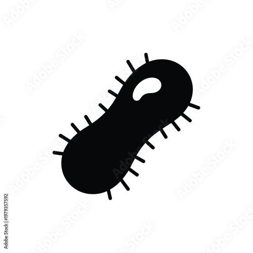 E coli bacteria cell structure.