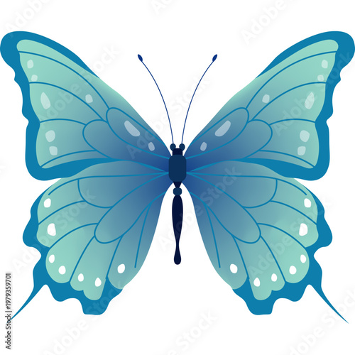 Butterfly Illustration