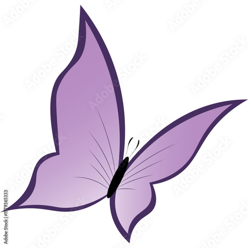 Butterfly Illustration
