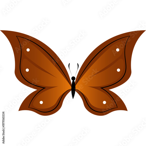 Butterfly Illustration
