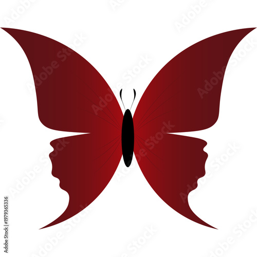 Butterfly Illustration
