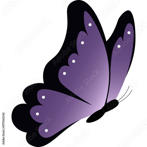 Butterfly Illustration
