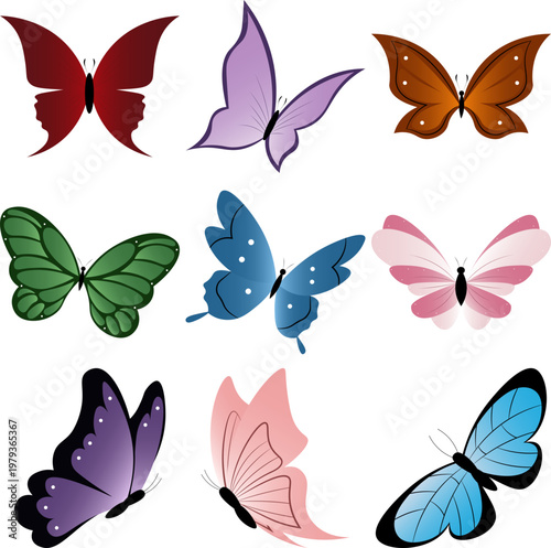 Butterfly Illustration
