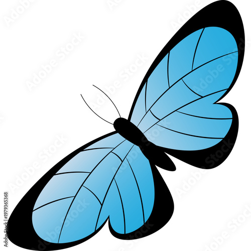 Butterfly Illustration
