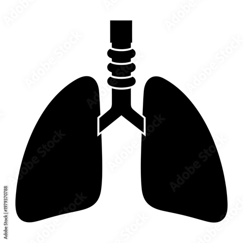 Vector of human lungs and trachea for medical use