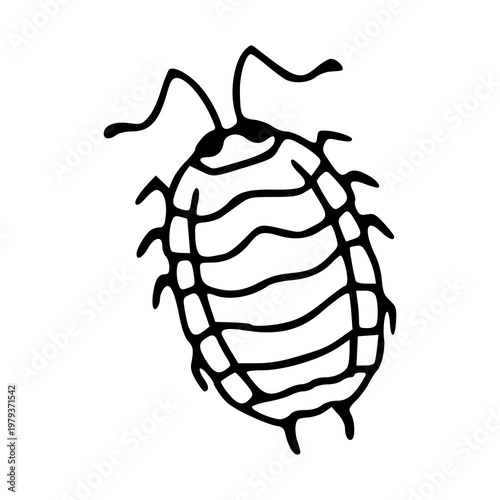 simple woodlouse or isopod bug sketch illustration