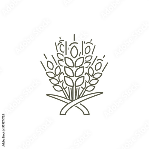 Wheat Ears Illustration Simple Line Art Design.
